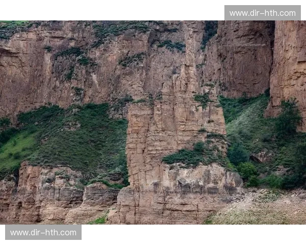 当黄河两岸的豪情碰撞：山东VS山西，一场关于风味与文化的视频盛宴